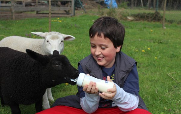 Dieren helpen kinderen