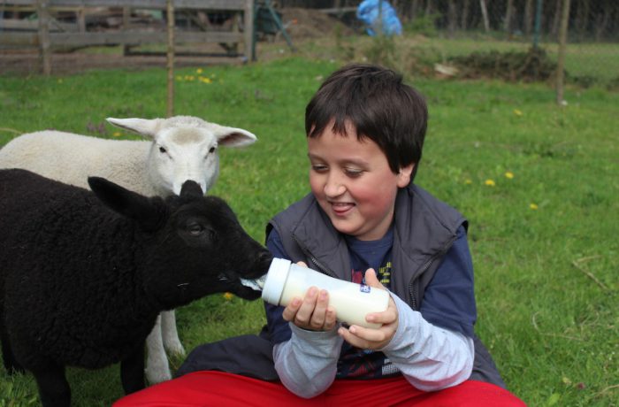 Dieren helpen kinderen